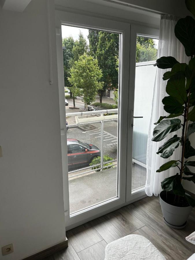 Zwarte Arend Airbnb Anvers Extérieur photo